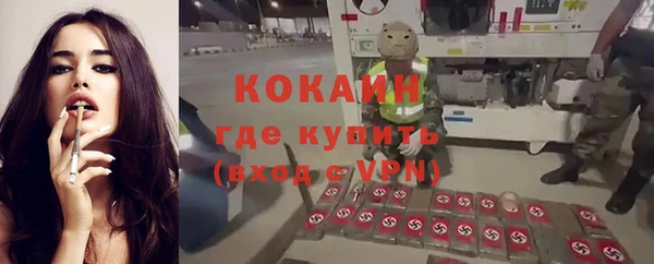 винт Кострома