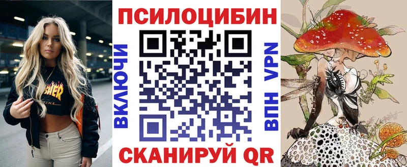 купить наркотик  Зверево  mega как войти  Галлюциногенные грибы GOLDEN TEACHER 